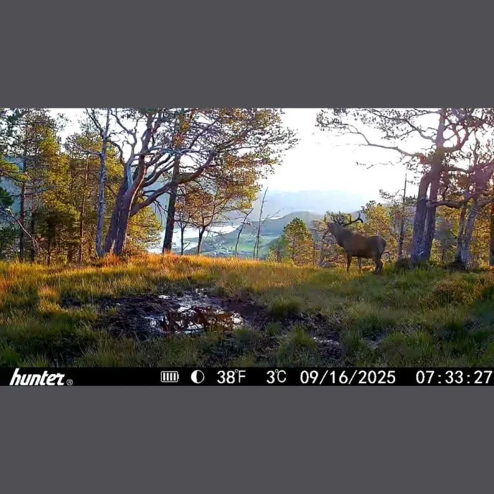 Hunter OBI Light Plus -riistakameralla otettu esimerkkikuva 2